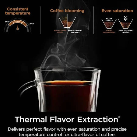Ninja Hot & Iced XL Coffee Maker with Rapid Cold Brew CM371