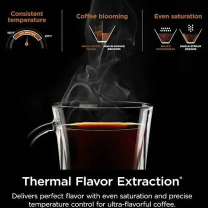 Ninja Hot & Iced XL Coffee Maker with Rapid Cold Brew CM371